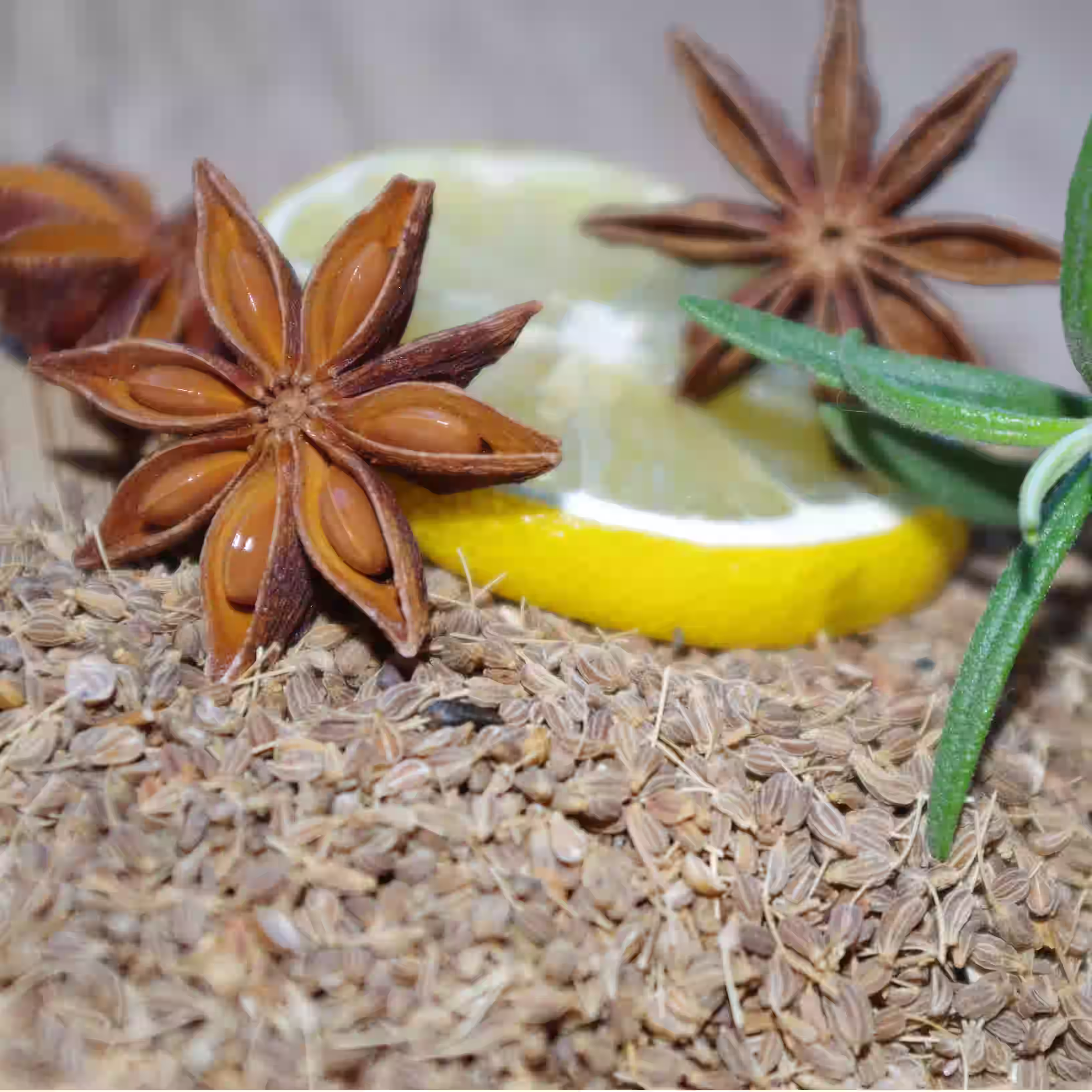 Whole dried star anise pods resting on a fresh yellow lemon, showing texture, color, and star shape clearly